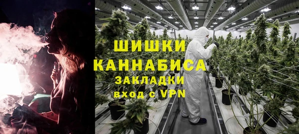 крисы Кинешма
