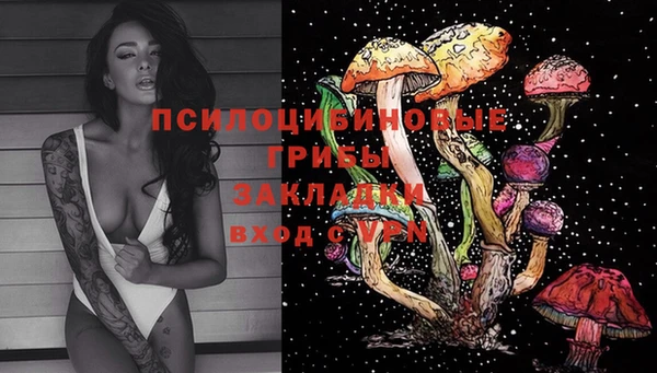 шишки Киренск