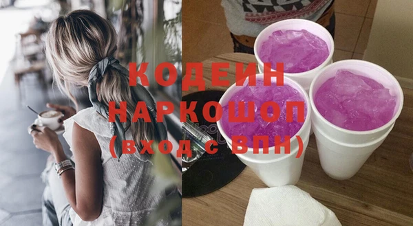 шишки Киренск