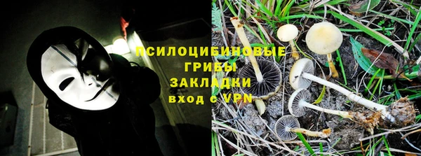 крисы Кинешма