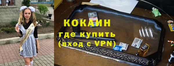 шишки Киренск