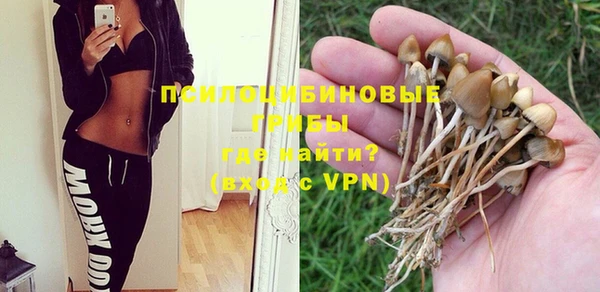 прущие крисы Кодинск