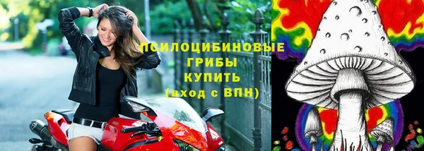 первитин Киреевск
