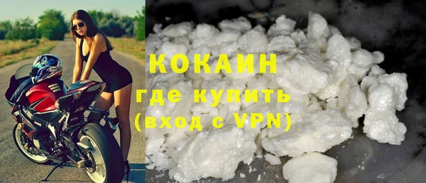 шишки Киренск
