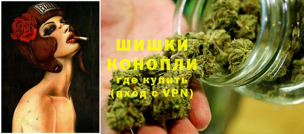 шишки Киренск