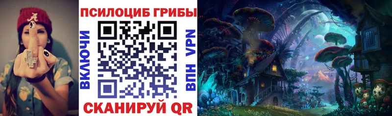 Псилоцибиновые грибы MAGIC MUSHROOMS цены omg ссылка Янаул