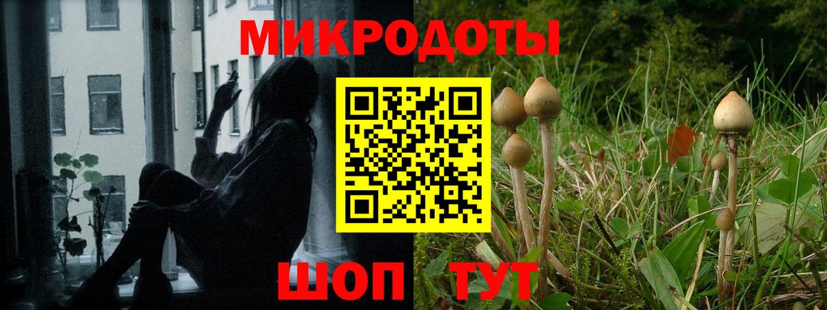 Псилоцибиновые грибы Magic Shrooms  Вход с VPN  Псилоцибиновые грибы GOLDEN TEACHER  Янаул 